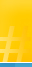 web design and programing DS42