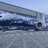 Nippon Airways Boeing 787 Dreamliner carbon composite Plane - Hostels247.com News