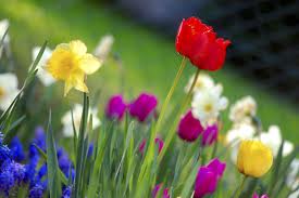 Spring 2011- hostels247 blog