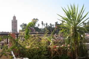 Riad Taghazout Hostel