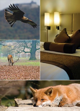 FOX COUNTRY INN HOTEL